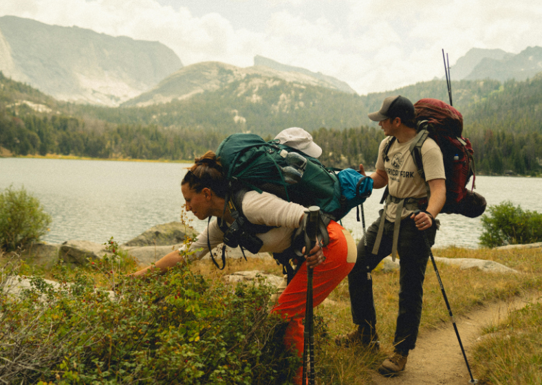 Descrição da imagem