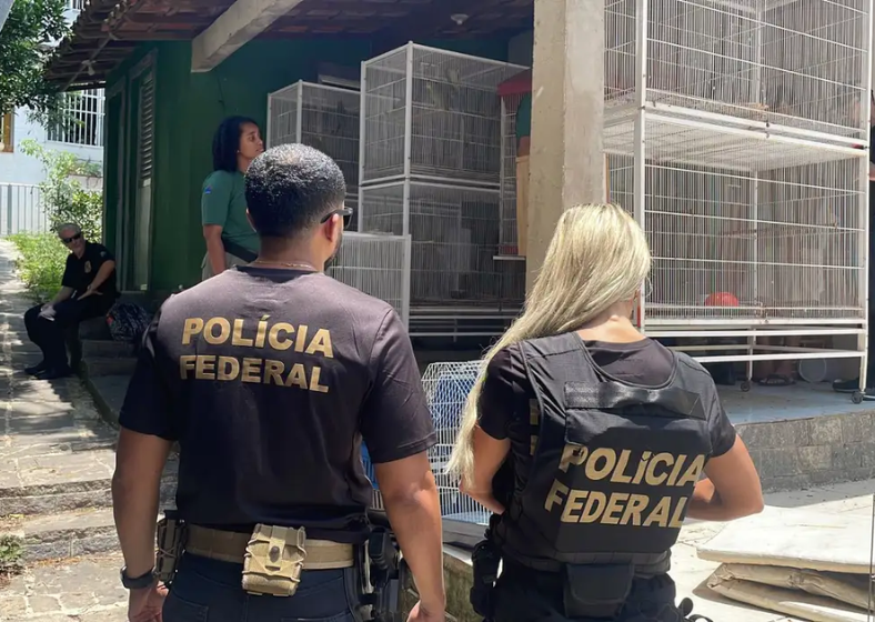 Descrição da imagem