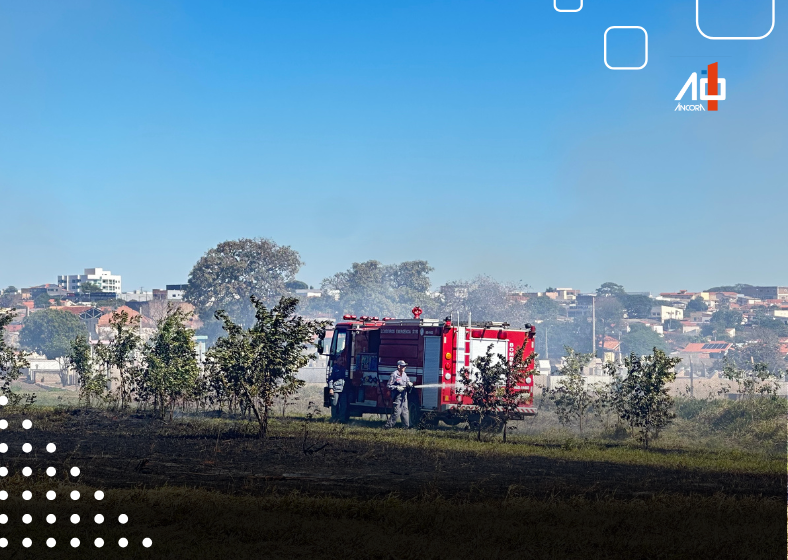 Descrição da imagem