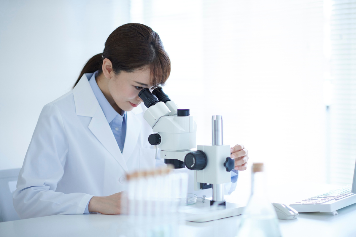 Descrição da imagem