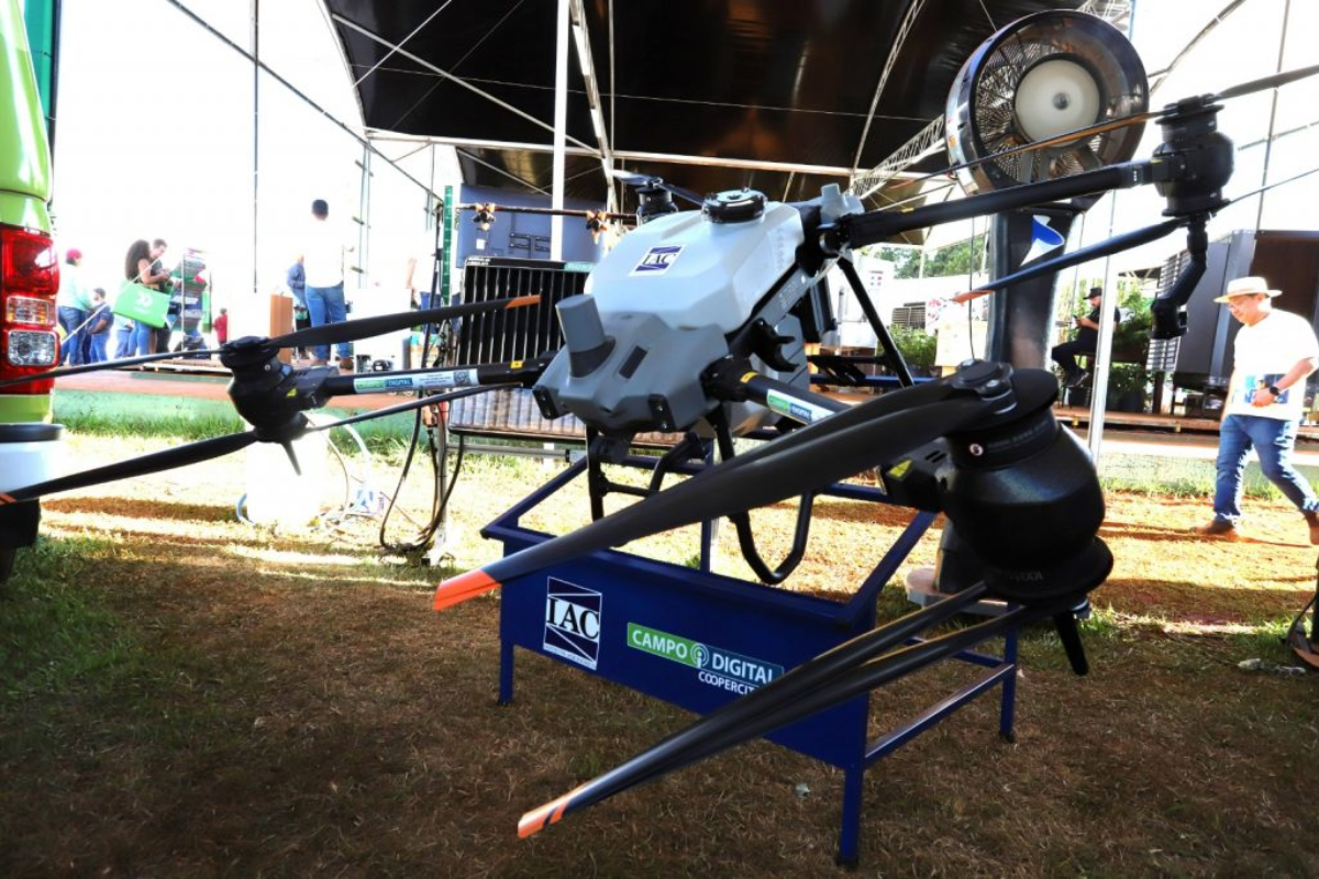 Descrição da imagem