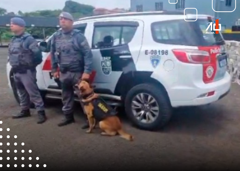 Descrição da imagem
