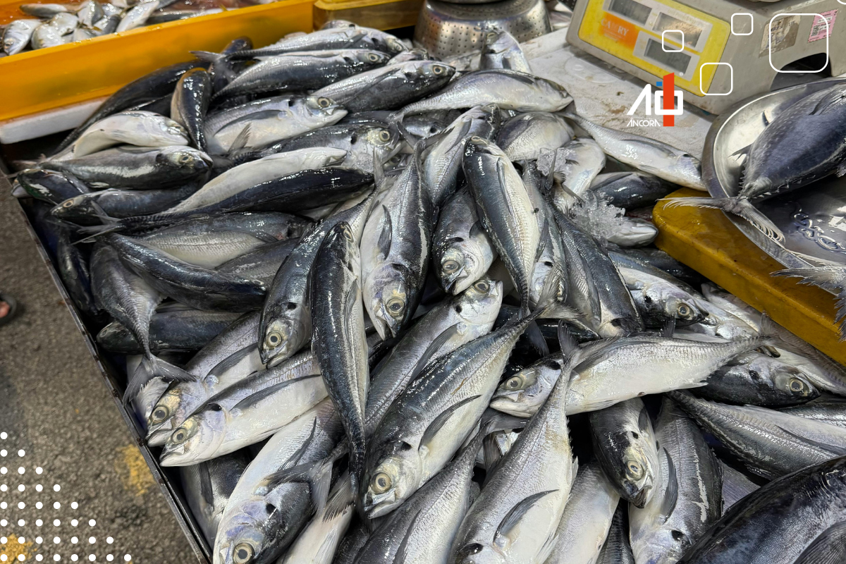 Descrição da imagem