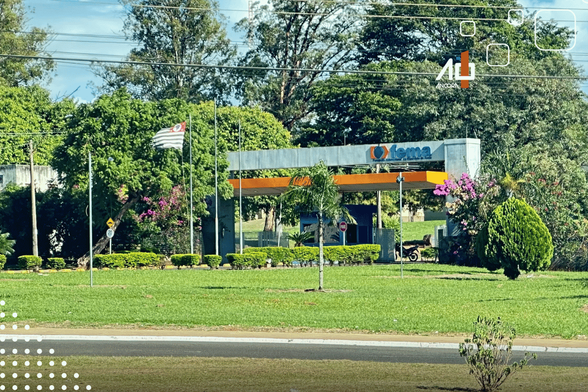 Descrição da imagem
