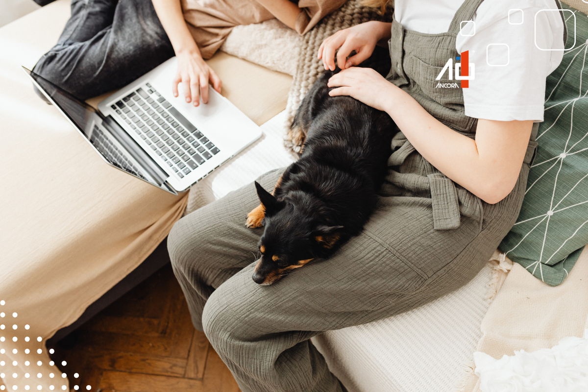 Descrição da imagem