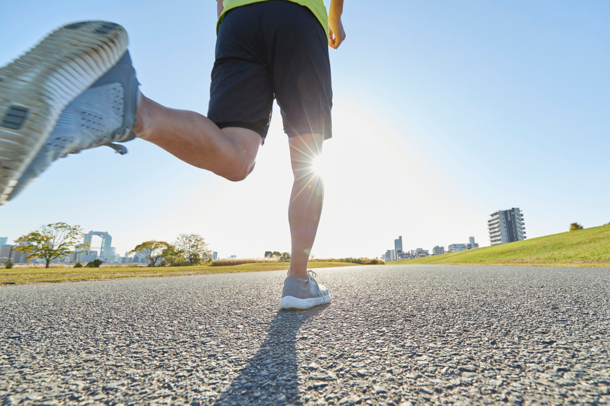 Descrição da imagem