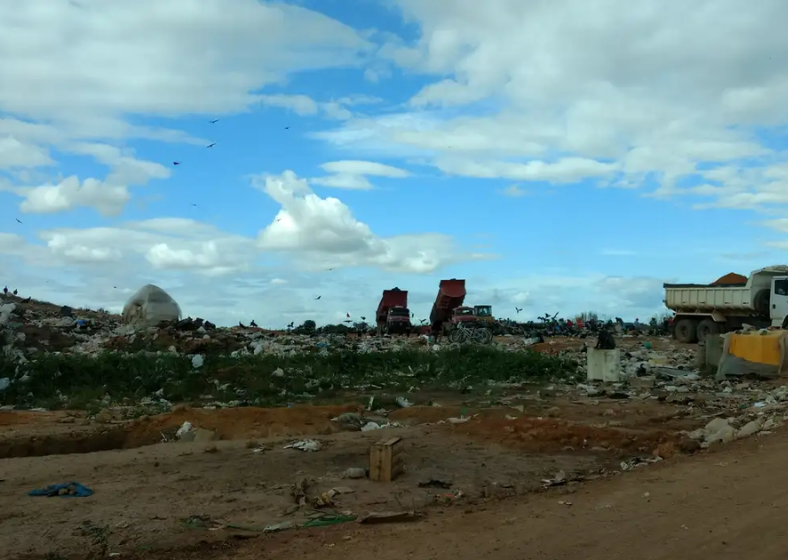 Descrição da imagem