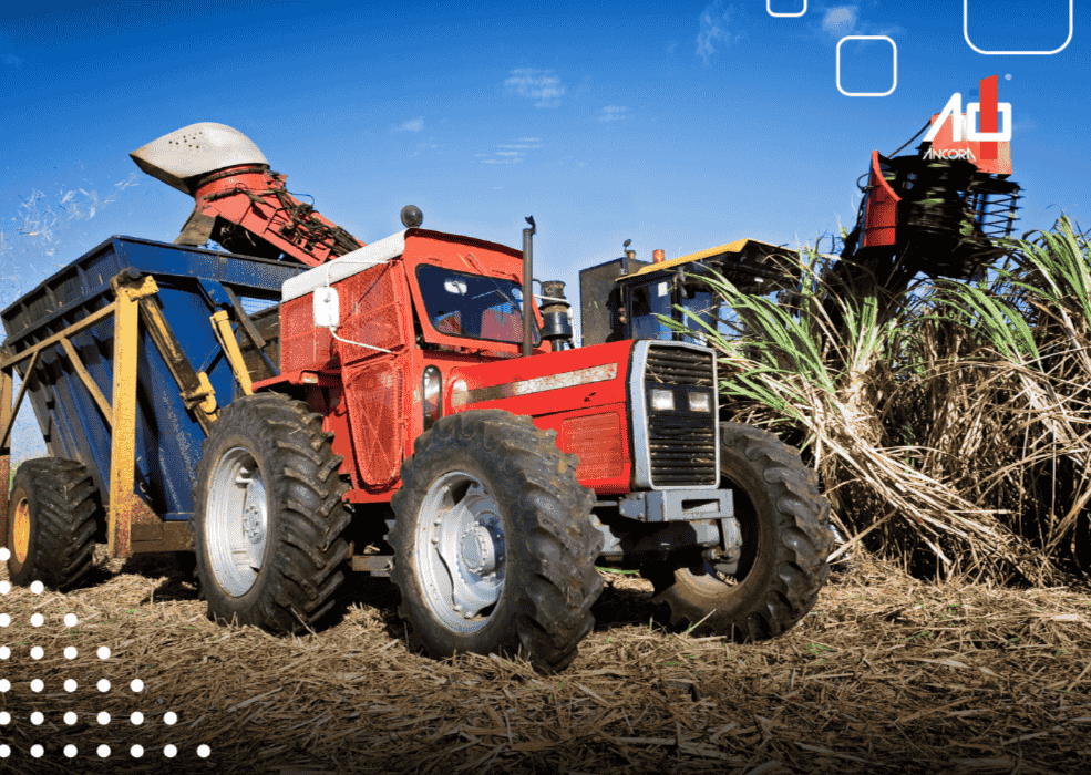 Descrição da imagem