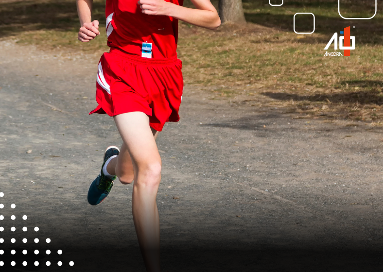 Descrição da imagem