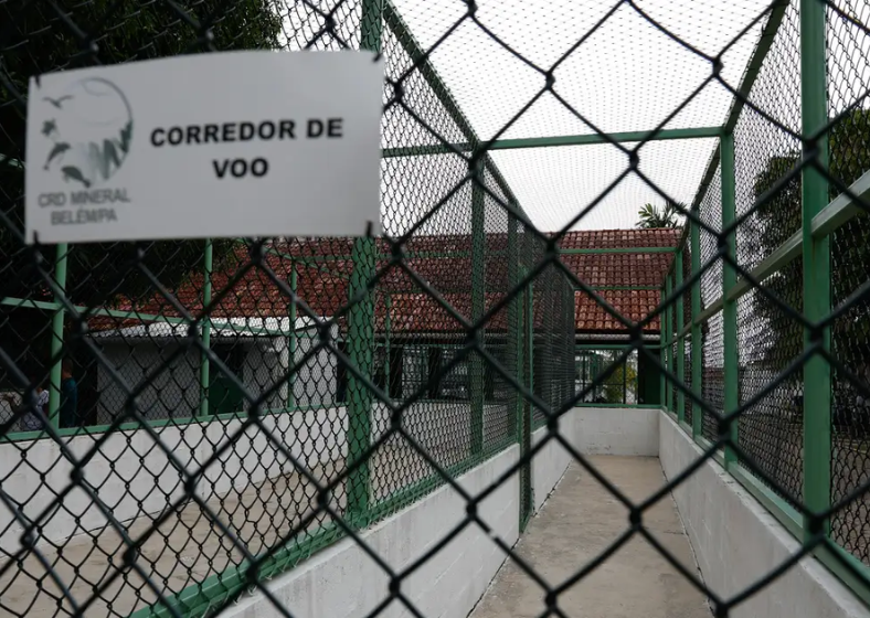 Descrição da imagem
