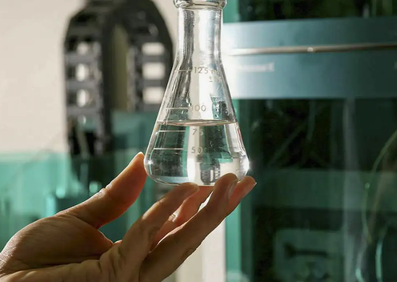 Descrição da imagem