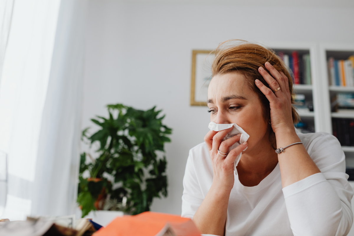 Descrição da imagem