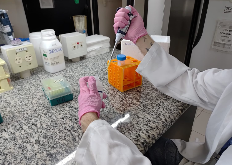 Descrição da imagem