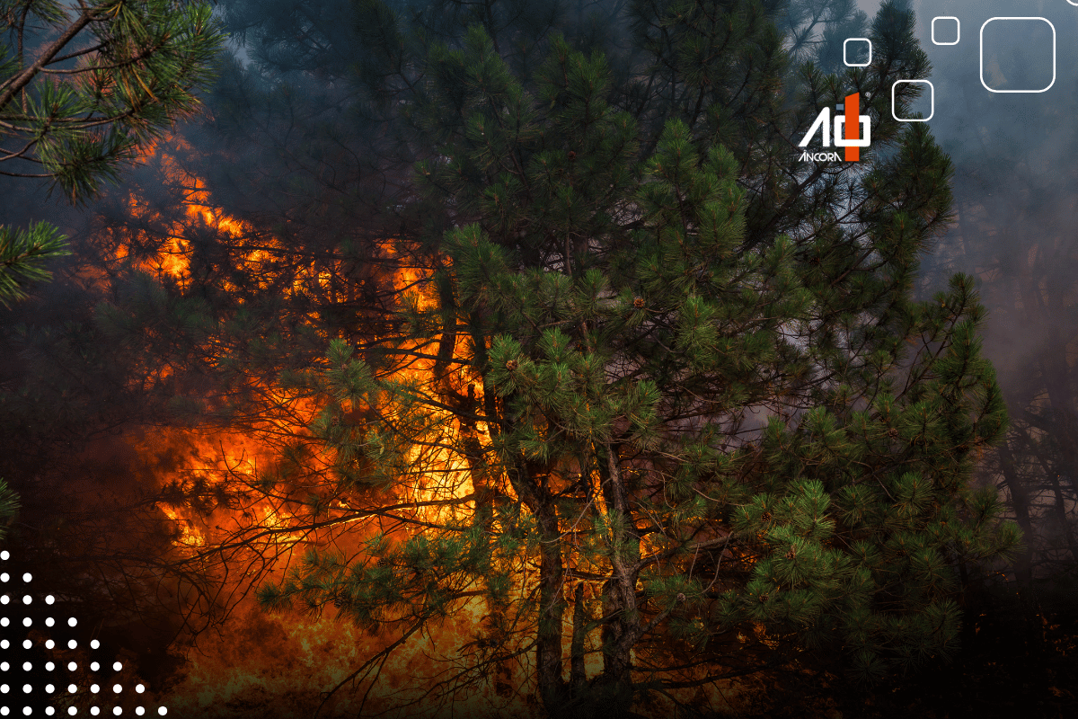 Descrição da imagem