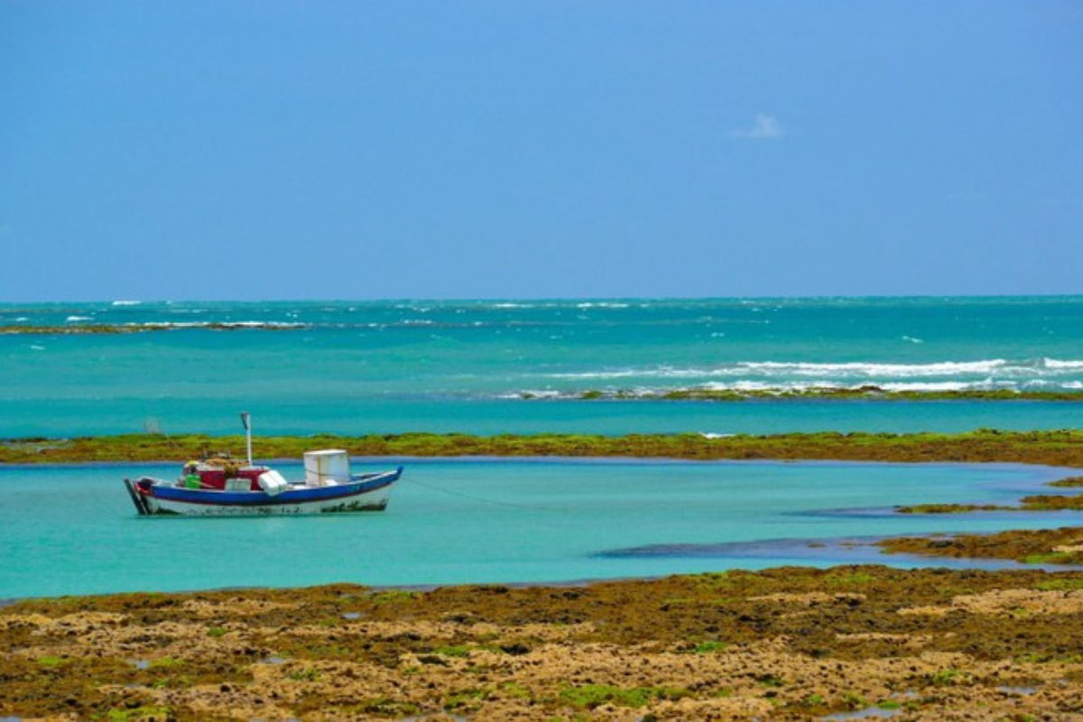 Descrição da imagem