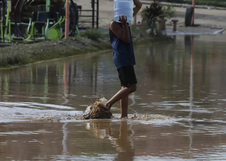 Descrição da imagem