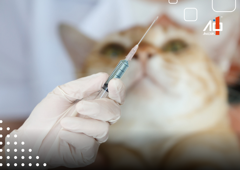 Campanha de vacinação antirrábica reforça prevenção em cães e gatos de Palmital