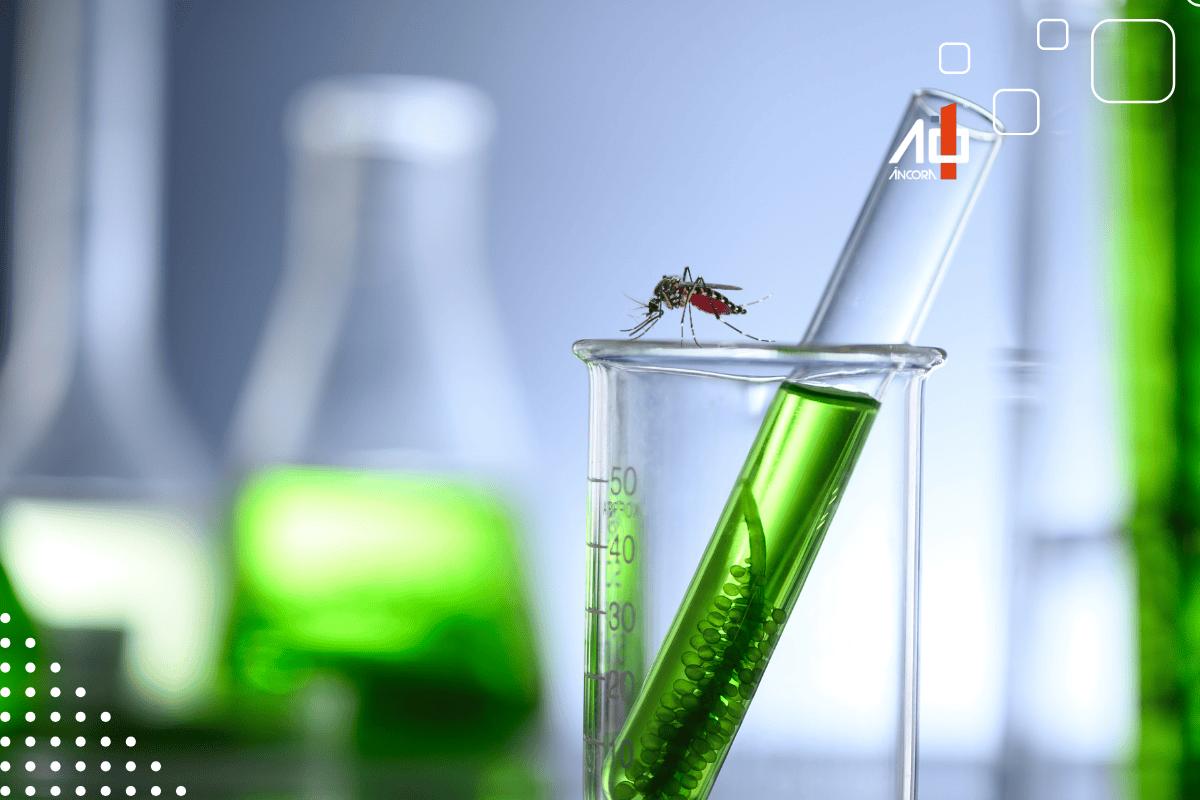 Descrição da imagem