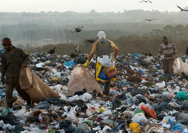 Descrição da imagem