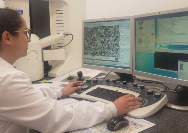 Descrição da imagem