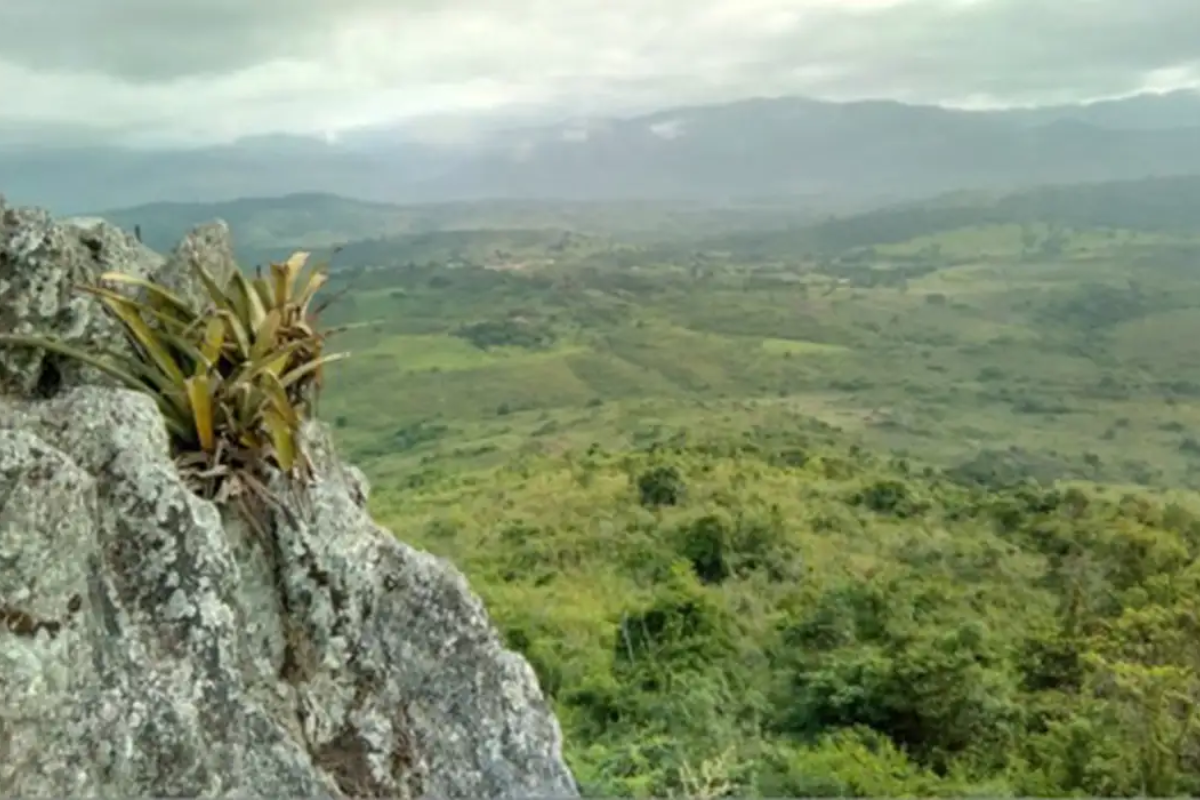 Descrição da imagem