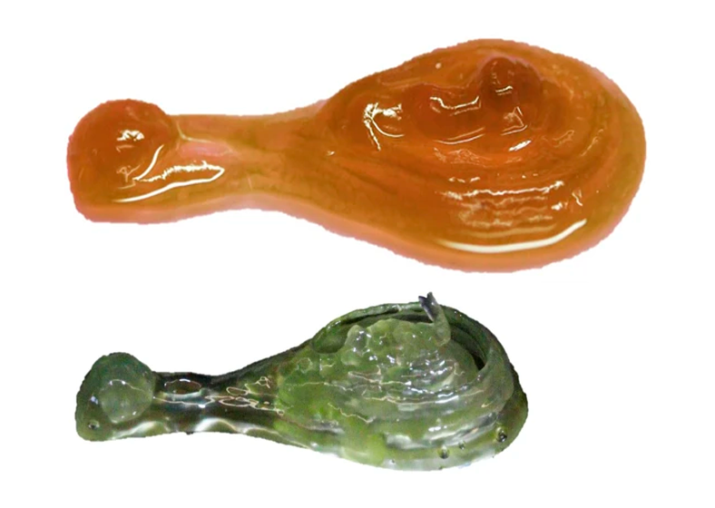 Descrição da imagem