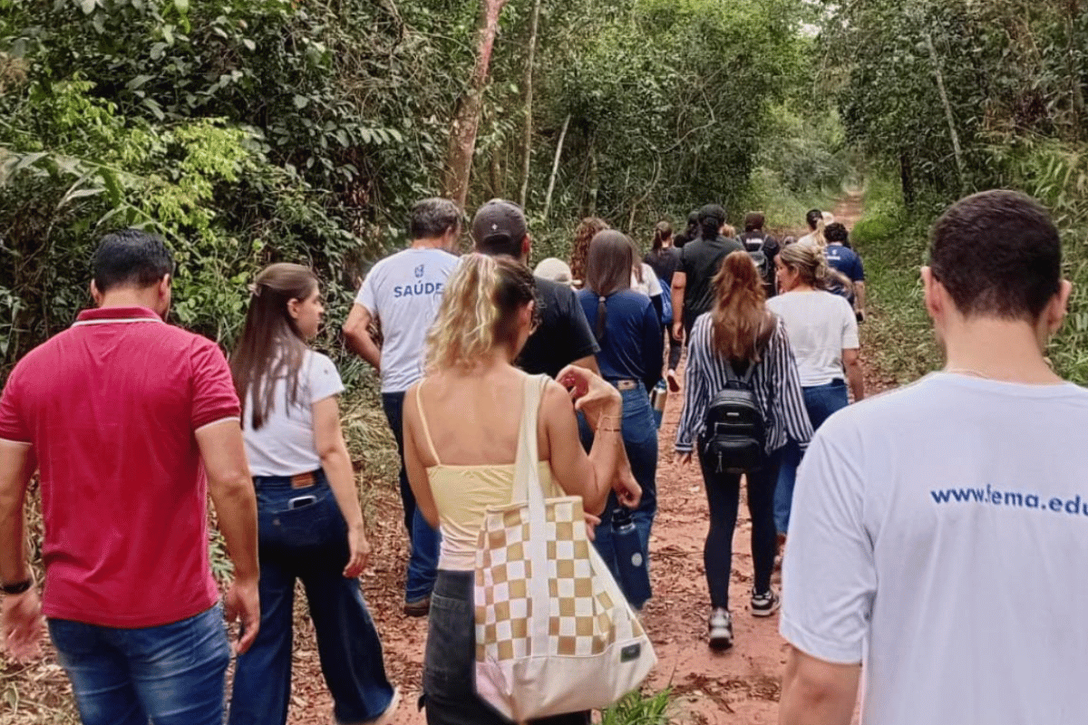 Descrição da imagem