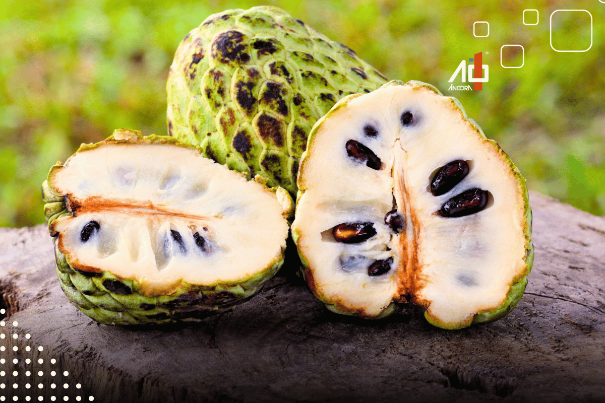 Descrição da imagem