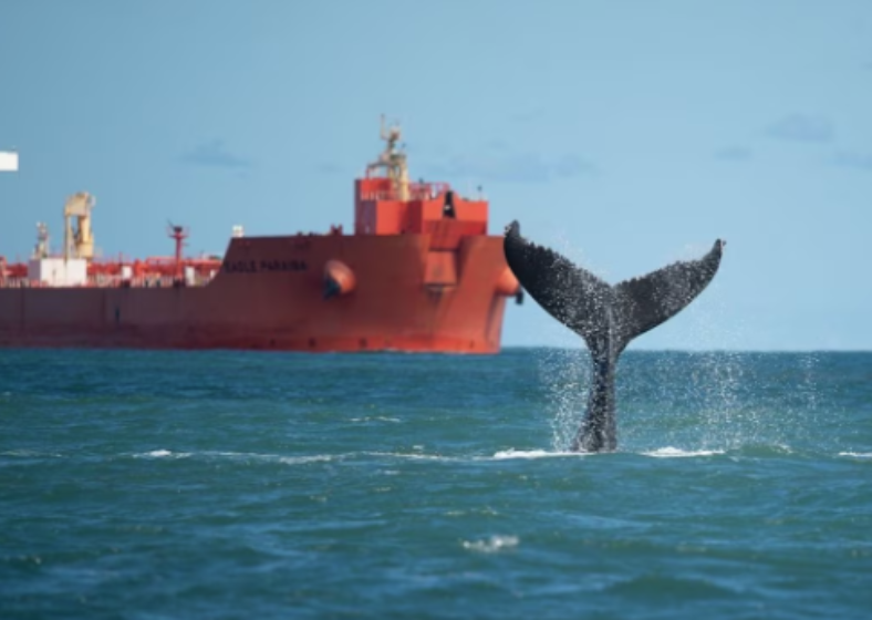 Descrição da imagem