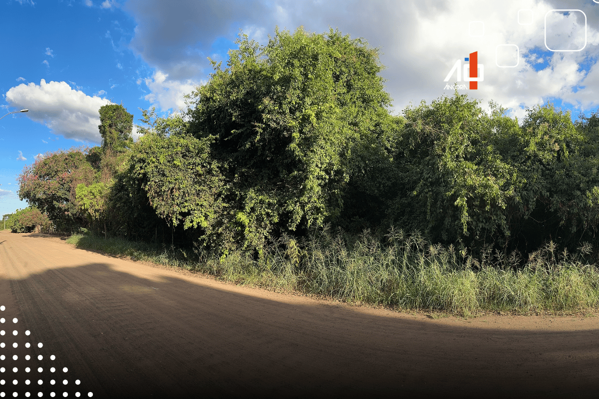 Descrição da imagem