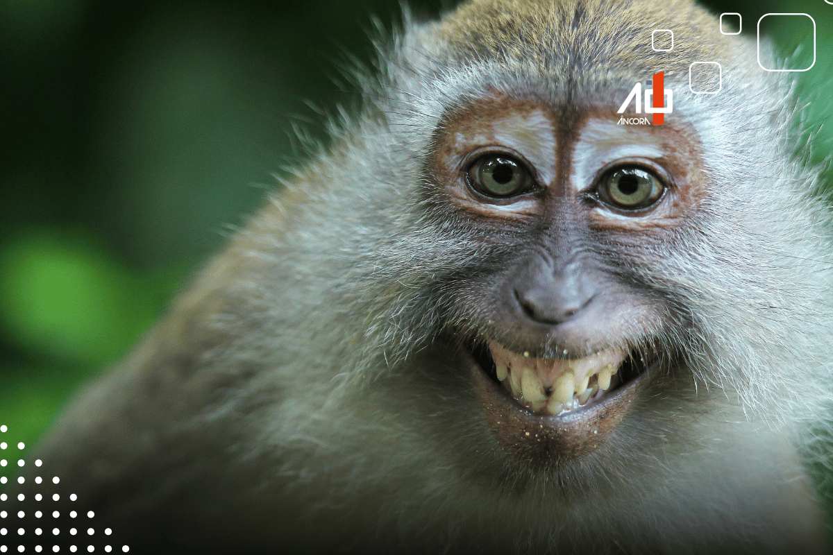 Descrição da imagem