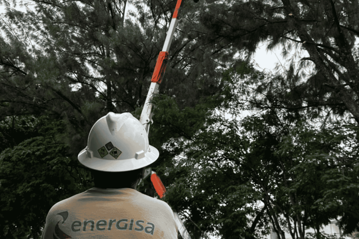 Descrição da imagem