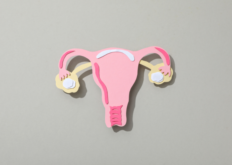 Descrição da imagem