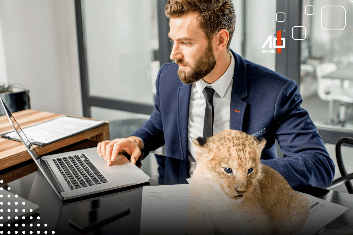 Descrição da imagem