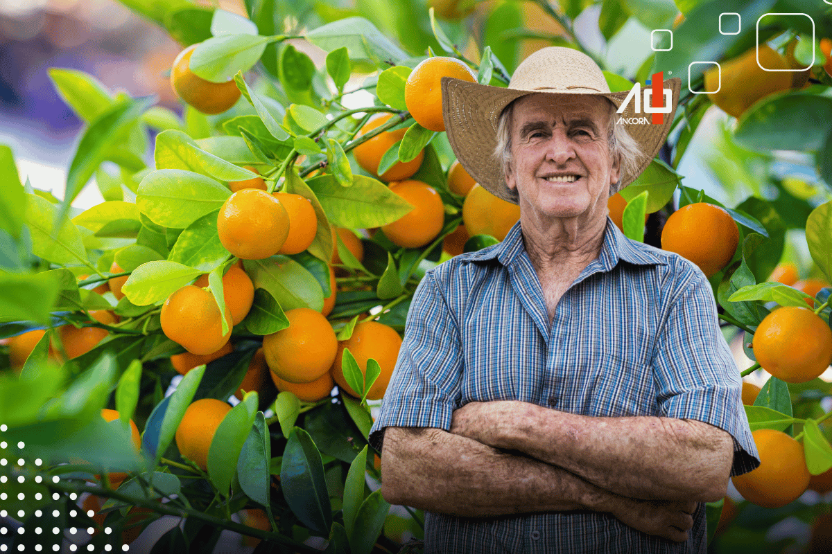 Descrição da imagem