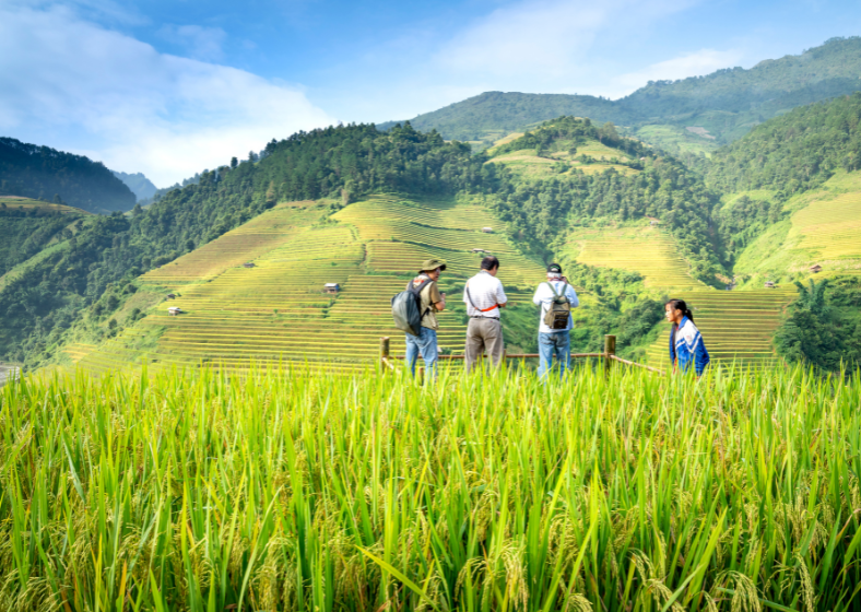 Descrição da imagem