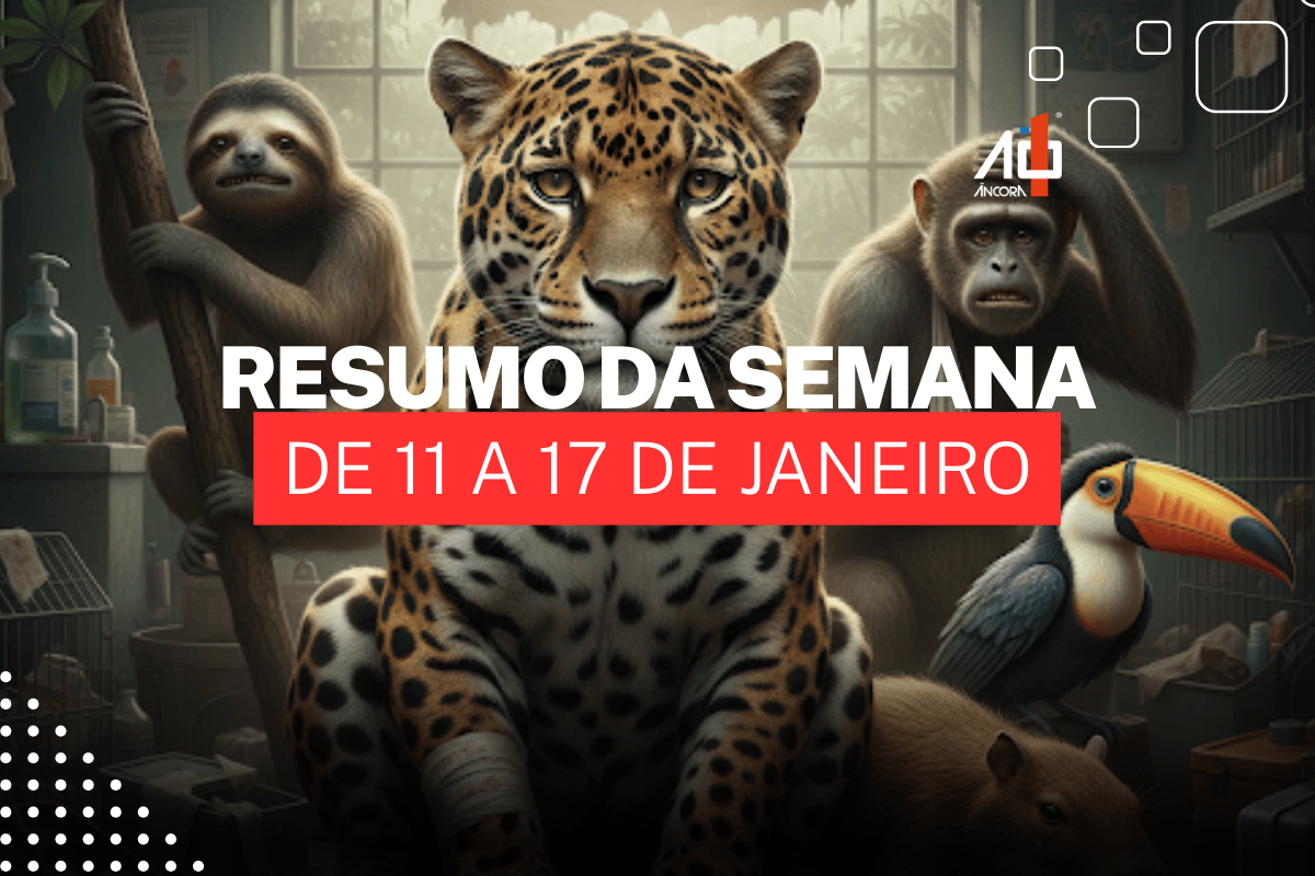 Descrição da imagem