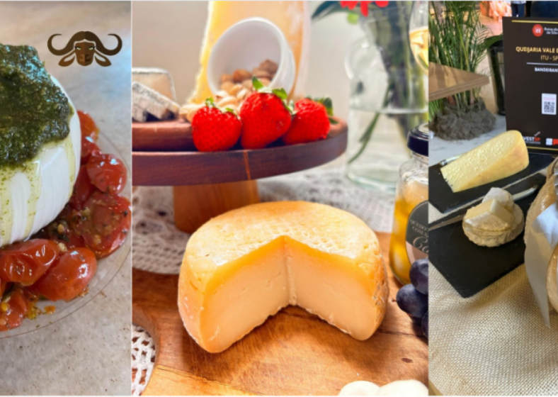 Descrição da imagem