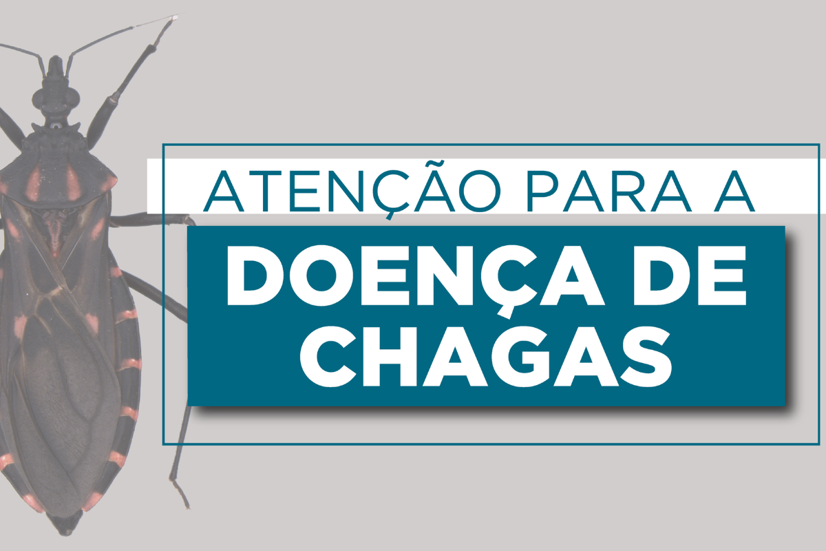 Descrição da imagem