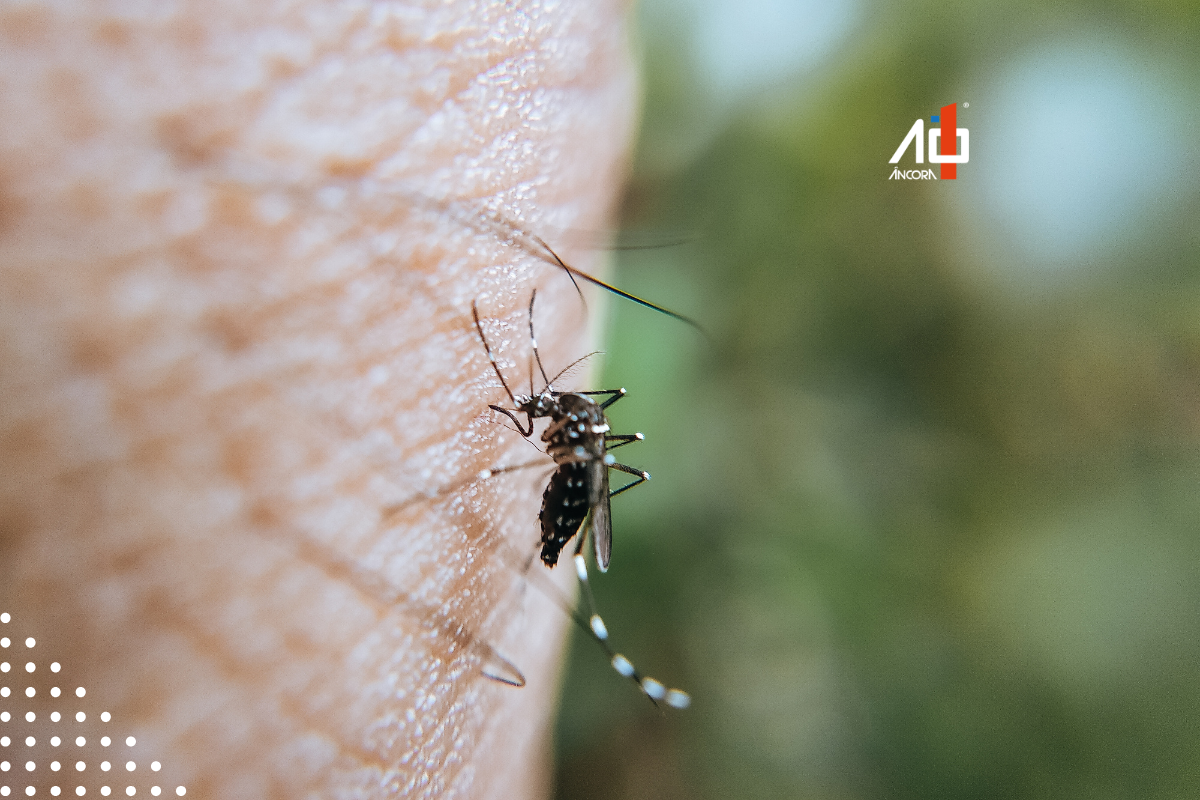 Descrição da imagem