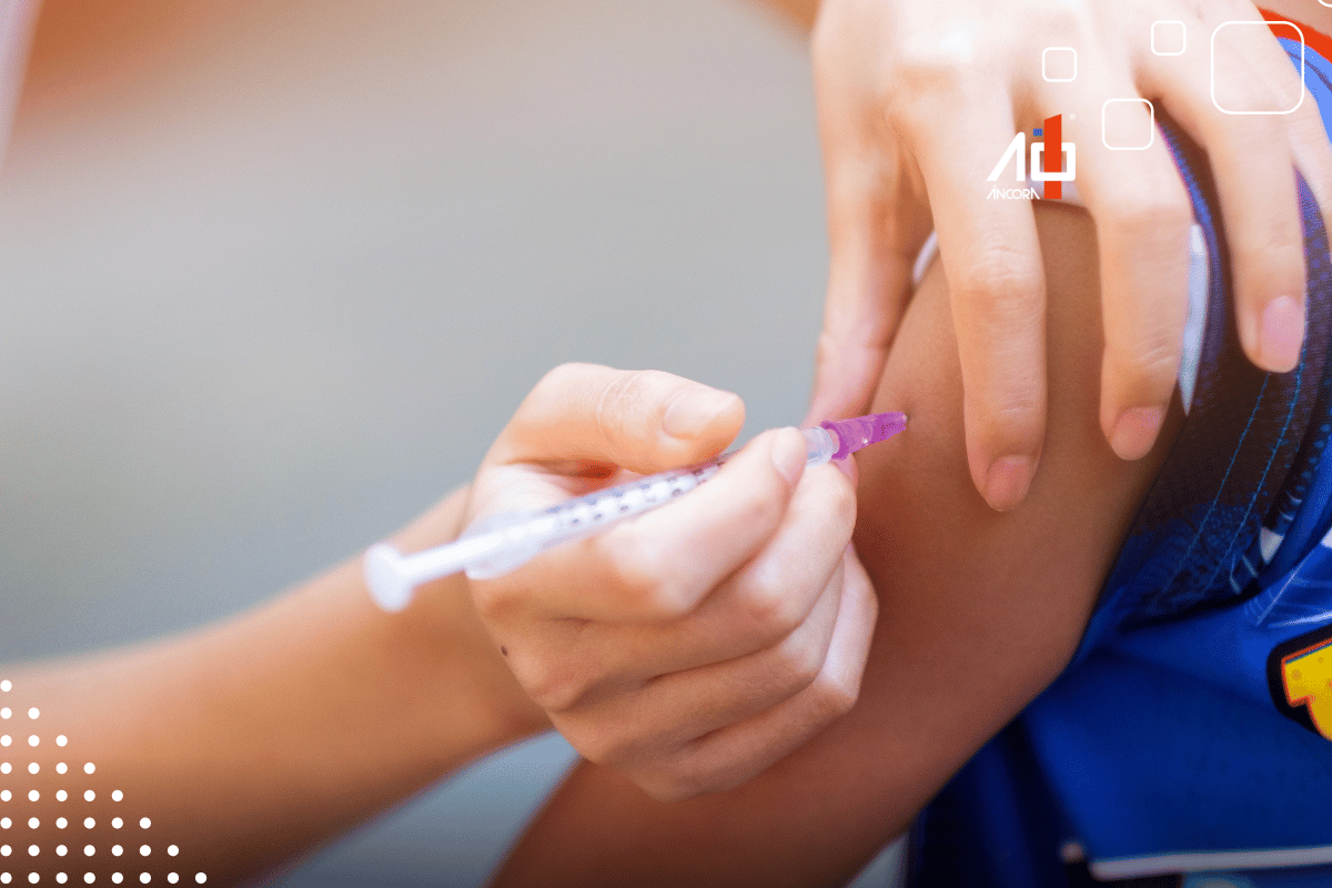 Descrição da imagem