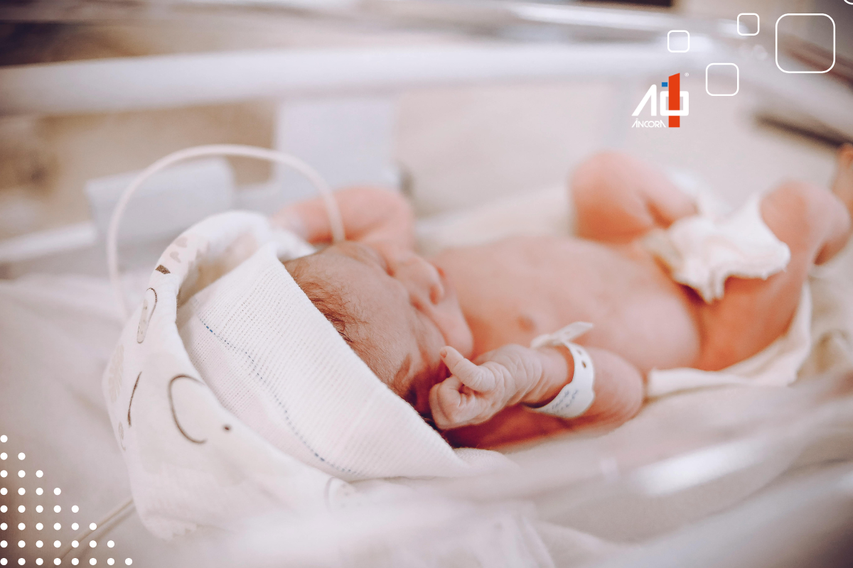 Descrição da imagem