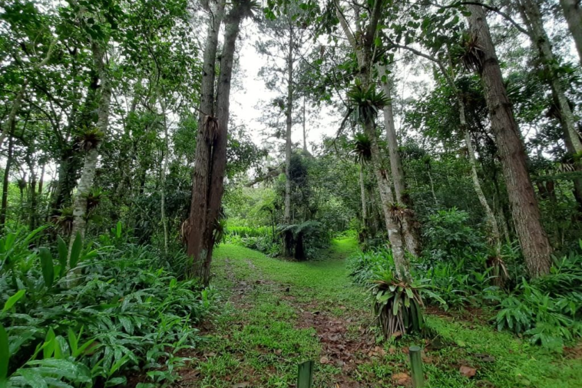 Descrição da imagem