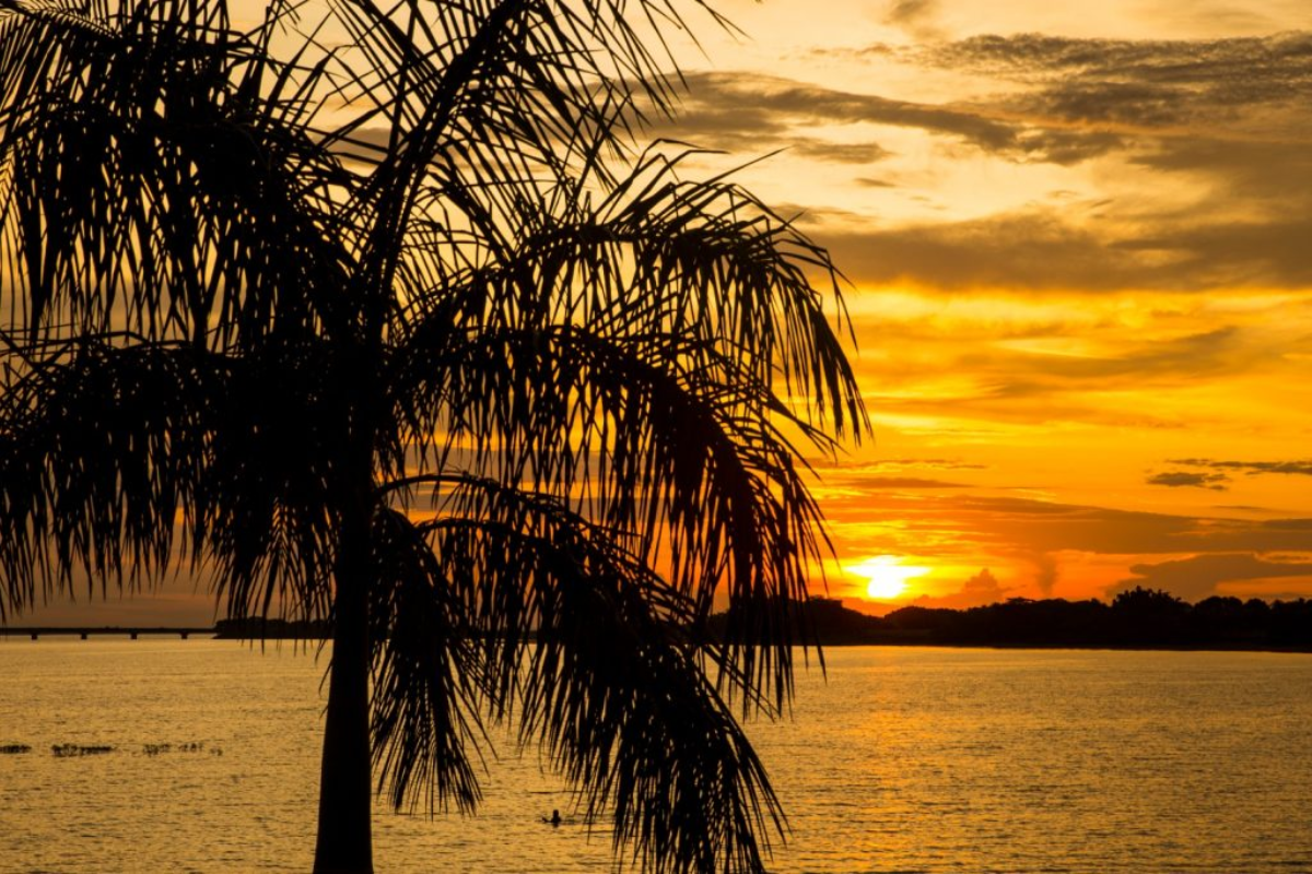 Descrição da imagem