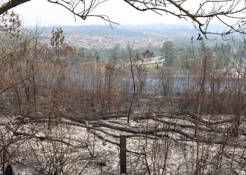 Descrição da imagem