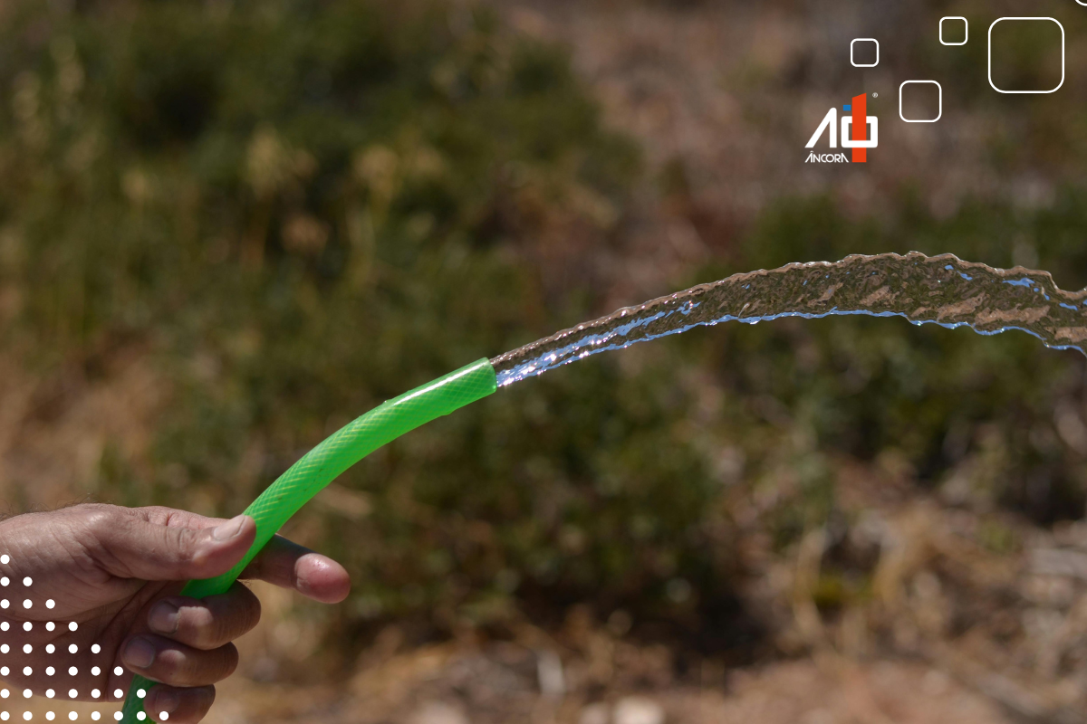 Descrição da imagem