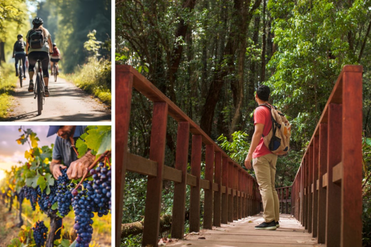 Descrição da imagem