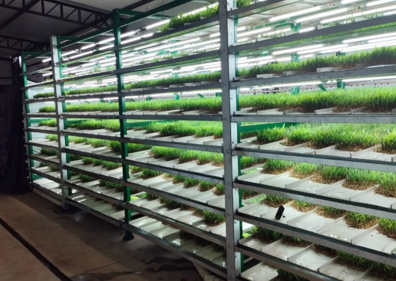 Descrição da imagem