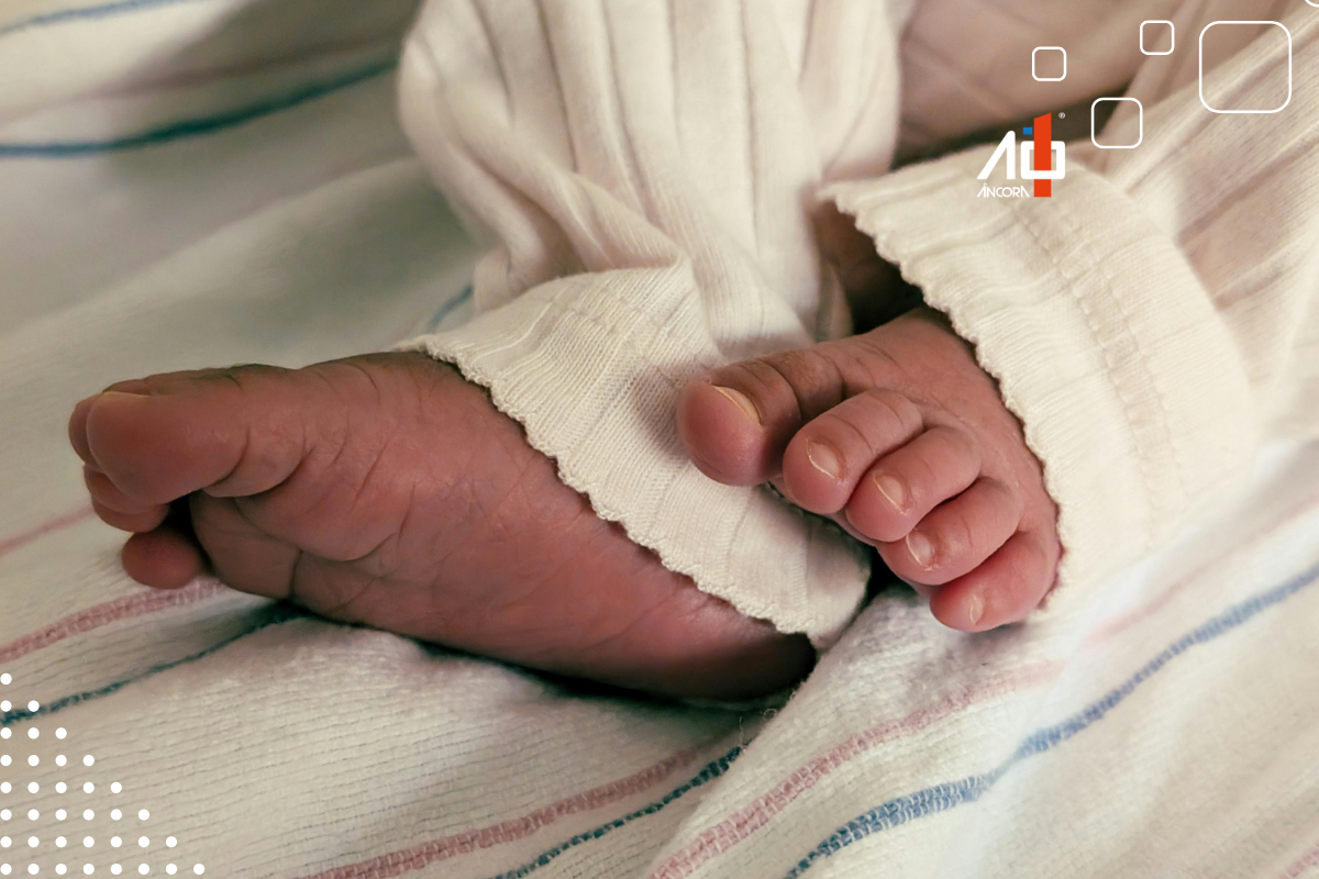 Descrição da imagem