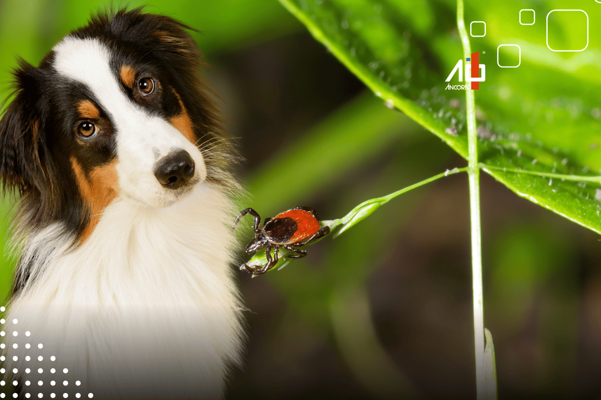 Descrição da imagem